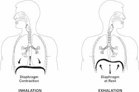 Breathing Technique For Singing Howtosingsmarter Com