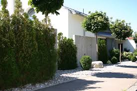 Ein rieiger und grüner baum macht für eine kleine terrae, auf der weniger platz it, wenig inn. Baume Fur Den Vorgarten Haas Galabau De