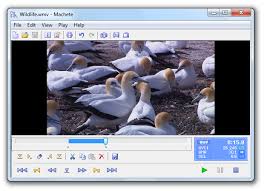 Download this app from microsoft store for windows 10 mobile, windows phone 8.1, windows phone 8. 9 Of The Best Free Video Editing Software To Try Kenzo