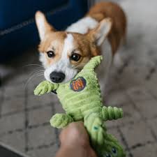 Check out our rescue pet charm selection for the very best in unique or custom, handmade pieces from our shops. Amazon Com Charming Pet Squeakin Squiggles Toy Tough Durable Plush Squeaky Dog Toy For Awesome Pets Elephant Pet Supplies