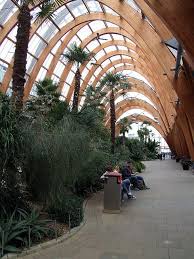Sheffield Winter Gardens Interior 02 Glulam Garden Architecture Winter Garden Timber Architecture
