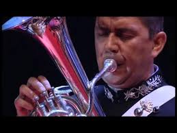 The Swan (Il Cigno) Baritone Horn (Flicorno Tenore) Solo.wmv