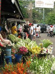 Toko bunga bandung,karangan bunga di bandung, florist bunga bandung. Say It With Flower Inilah 10 Toko Bunga Terbaik Di Bandung