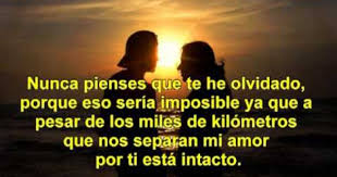 Pin En Videos De Frases De Amor Y Amistad