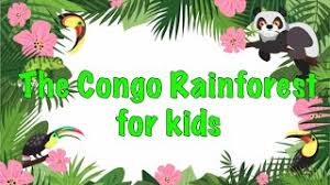 The river also features in the 1995 movie called congo (based on the michael crichton book). Facts About The Congo Rainforest For Kids Youtube