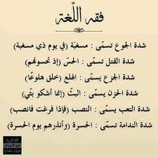Pin By Nidal On لغة الضاد لغتي Language Quotes Words Quotes Words