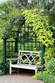 Perennial Picks That Make Quick Climbers Garden Vines Garden Arbor Garden Arches