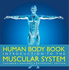 The book is organized by body area and shows common sequences in the progression of a typical workout. Human Body Book Introduction To The Muscular System Children S Anatomy Physiology Edition By Baby Professor