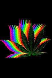 Supreme iphone5 wallpapers by the g paradise supreme wallpaper. Weed Wallpaper Iphone X