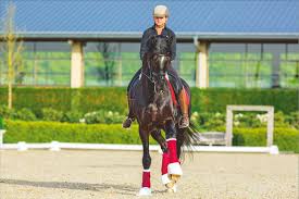 Am erfolgreichsten ritt im hessischen. Munchen Kein Nurnberger Burg Pokal Fur Sezuan