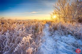Available for hd, 4k, 5k pc, mac, desktop and mobile phones. Wallpaper Winter Snow Canada Sunrise Landscape Frost Edmonton Alberta 1600x1063 1126466 Hd Wallpapers Wallhere