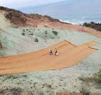 Manta de fibra de coco, Geomantas e hidrosiembra