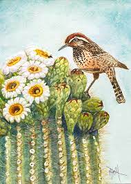 Find the perfect saguaro cactus blossom stock photos and editorial news pictures from getty images. Saguaro And Cactus Wren Painting By Marilyn Smith
