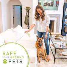 Get the list of best carpet cleaner solution for pets urine, stains & odors. Best Hypoallergenic Carpet Cleaners