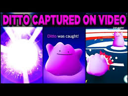 Maybe you would like to learn more about one of these? Como Capturar A Ditto En Pokemon Go Lg Chile Lg Blog