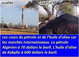 La Kabylie De Demain L Huile D Olive De Kabylie Commence A S Exporter Vers L Europe Et L Asie Grace A Des Initiatives D Oleifacteurs Dont Houali Omar Un Producteur D Huile D Olive De La Region De