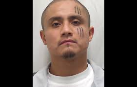 Fort Hall man sentenced for killing cousin, hiding his body in a shed