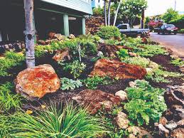 Foliage hawaiian plants plants flowers hawaii flowers secret garden growing native plants garden. Let It Grow In Your Back Yard Hawaii Renovation