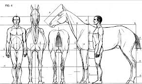 Chelloshad Jpg 1886 1116 Como Desenhar Maos Cavalos Desenho