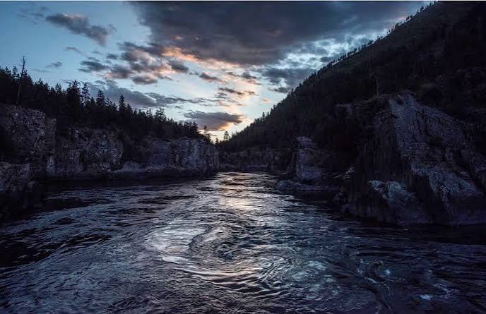 Oscar Force 'The Revenant' Shot Near Libby - Flathead Beacon