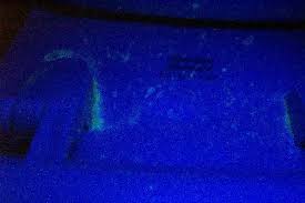 Blacklight Urine Detector 6in Handheld