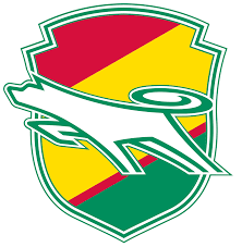 JEF United Ichihara Chiba