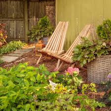 Image result for Boscia filipes