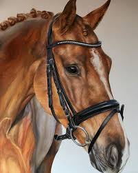 Image result for tbn:tVj6rqcH-AQR9M::www.pregonagropecuario.com.ar/images/caballo_overo.jpg