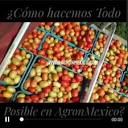 Agron_Mexico (@agron_mexico) | TikTok