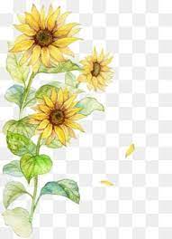 Creative Sunflower Ink Sunflower Yellow Flowers Flowers Flowers Illustration Creative Sunfl Watercolor Sunflower Sunflower Illustration Yellow Flowers Painting