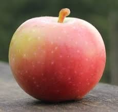 Apple pacific rose™ apple lady in red (pink lady®) apple royal gala; White Winter Pearmain Salt Spring Apple Company Ltd