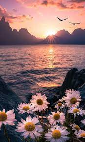 Foto Einrichten Wohnzimmer Wohnideen Hausdekor Schlafzimmer Wohnung Hausdekor Nature Photography Beautiful Nature Wallpaper Beautiful Flowers Wallpapers