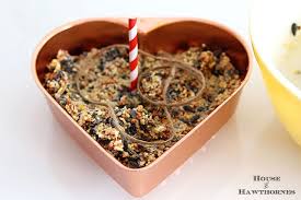 Making your own homemade bird suet cakes is easy, fun and rewarding. Diy Birdseed Suet Cakes House Of Hawthornes