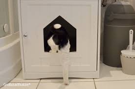 Wenn sie ein pelziges tierchen zu hause haben, sind. Katzenhaus Haus Toilette Katze Katzentoilette Katzenklo