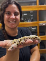 Gator boys are ready to party😳 Darth and Gomer heard it my dad's birthday  and when it comes to partying they are always ready to go😅 That old man is  currently out