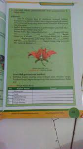Kelopak bunga atau disebut calyx adalah bagian dari lingkar terluar pada bunga, kelopak fungsinya adalah untuk melindungi mahkota bunga saat belum mekar atau kuncup. Sebut Dan Jelaskan Fungsi 11 Bagian Bunga Yg Ini Tak Kasih Poin Tinggi Brainly Co Id