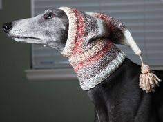 Love This Greyhound Knit Hat For Winter Honden Hondjes Teckel