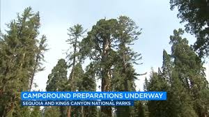 Located in the southern sierra nevada, east of in no time at all you could be sitting back and relaxing in some of the best sequoia national forest cabins around. Sequoia And Kings Canyon National Parks Requiring Reservations For Campgrounds This Summer Abc30 Fresno