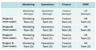 Organizational Structure And Culture Jakaria Ahmed Blog