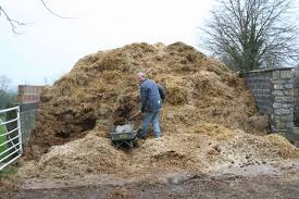 Grab Materials To Make Compost From Where You Can This Horse Yard Won T Miss A Wheelgbarrowful In 2020 Dig Gardens Compost Gardening For Beginners