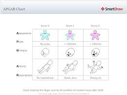 Apgar Scoring Chart Ob Nursing Nclex