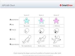 apgar scoring chart ob nursing nclex