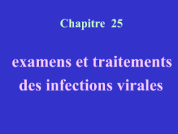 Organisation Mondiale De La Sante Animale