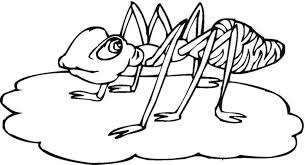 Check spelling or type a new query. Free Printable Ant Coloring Pages For Kids