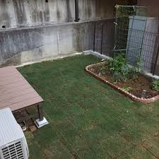 庭 芝 庭土 家庭菜園 diy などのインテリア実例 2018 05 27 21 54 23 roomclip ルームクリップ 芝庭 家庭菜園 庭