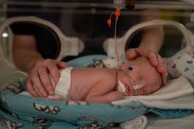 DAN Women & Babies Program