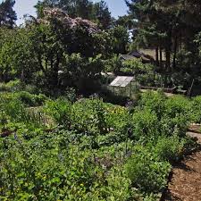 the findhorn community in scotland mythological quarter findhorn garden inspiration secret garden