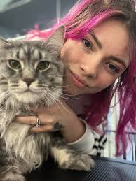 Do pet groomers around Lititz, PA groom cats?