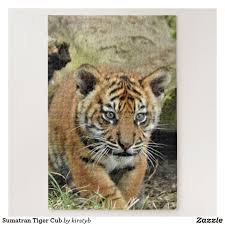 Pin On Lion Tiger Other Big Cat Themed Jigsaw Puzzles