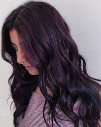 Long tail bleach and tint brush. 30 Latest Plum Hair Color Ideas For 2021 Hair Adviser
